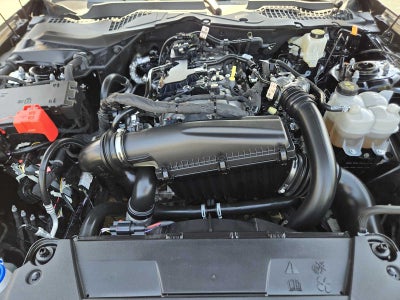 2024 Ford Mustang EcoBoost Premium Fastback