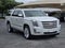 2019 Cadillac Escalade ESV Platinum